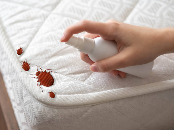 Best Pest Control for Multi-Family Homes  in , WA